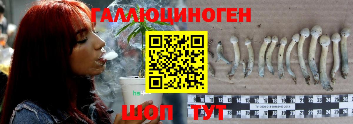 Галлюциногенные грибы ЛСД Нягань
